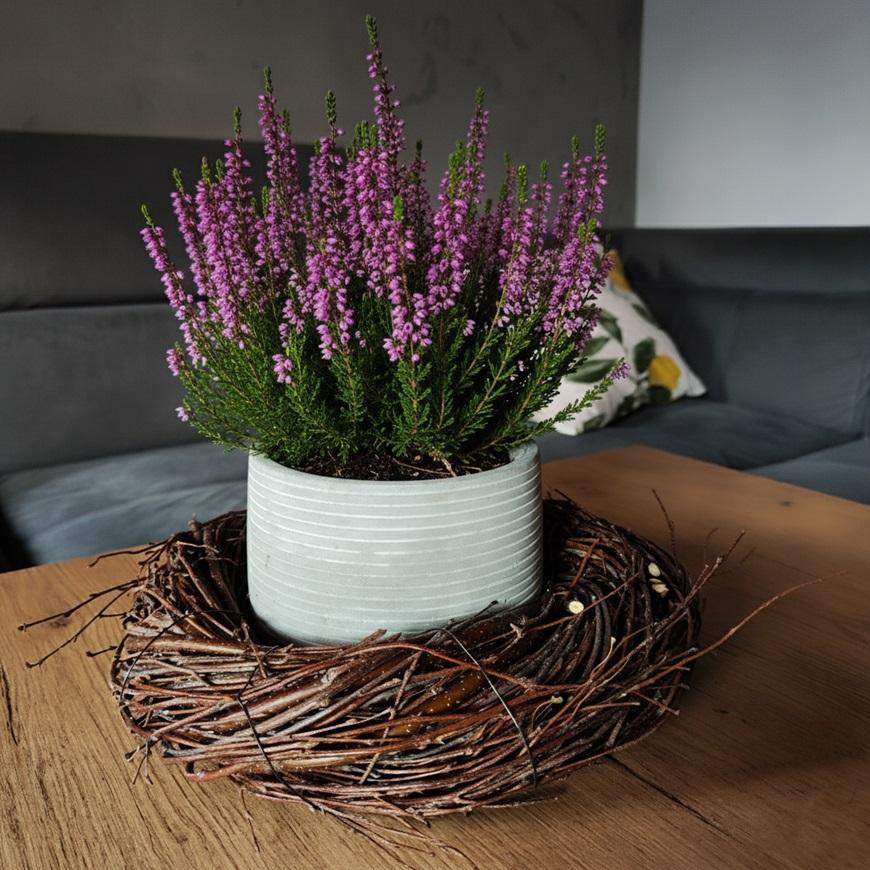 NATURALNY WIANEK BRZOZOWY