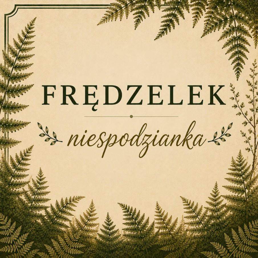 FRĘDZELEK NIESPODZIANKA