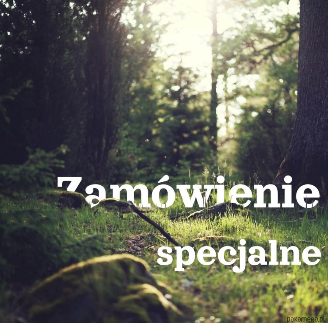 ZAMÓWIENIE SPECJALNE NERKO TOREBKA Z KLAPKĄ 