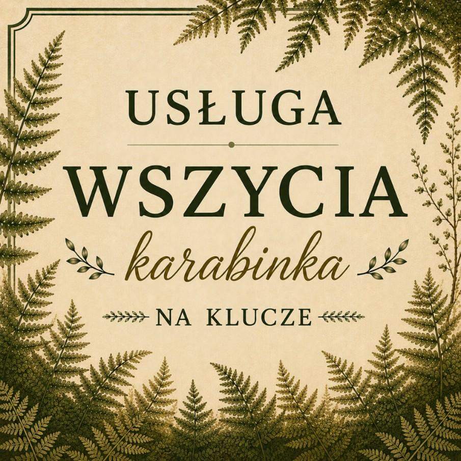 USŁUGA WSZYCIA KARABINKA NA KLUCZE